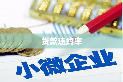 宝应贷款违约率