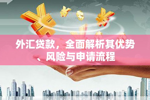 宝应外汇贷款，全面解析其优势、风险与申请流程