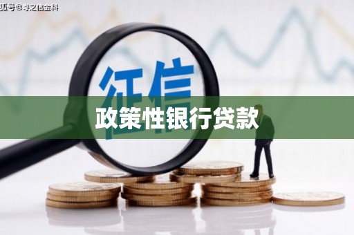 宝应政策性银行贷款