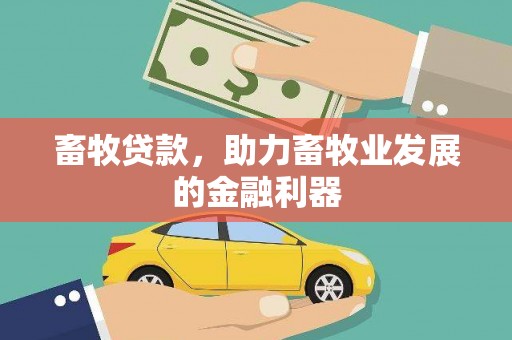 宝应畜牧贷款，助力畜牧业发展的金融利器