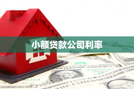 宝应小额贷款公司利率