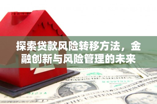 宝应探索贷款风险转移方法，金融创新与风险管理的未来