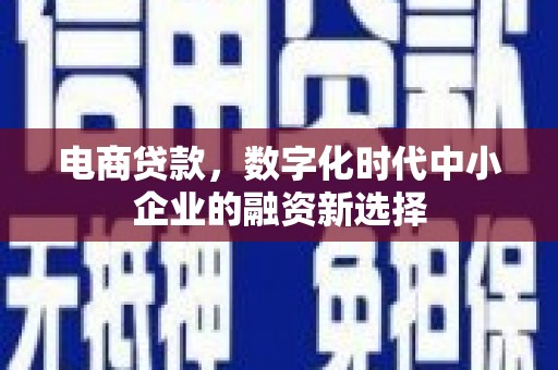 宝应电商贷款，数字化时代中小企业的融资新选择