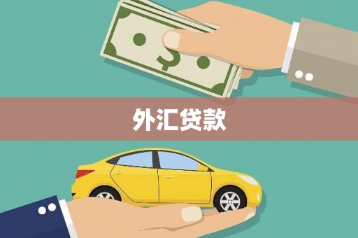 宝应外汇贷款