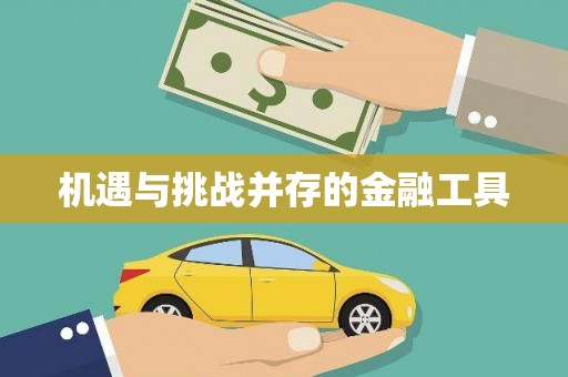 宝应机遇与挑战并存的金融工具