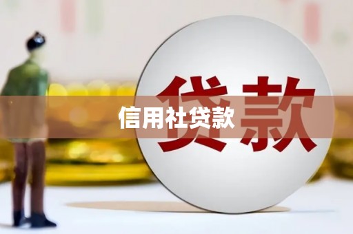 宝应信用社贷款