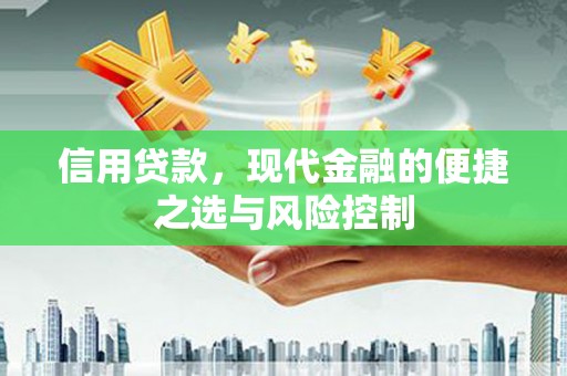 宝应信用贷款，现代金融的便捷之选与风险控制