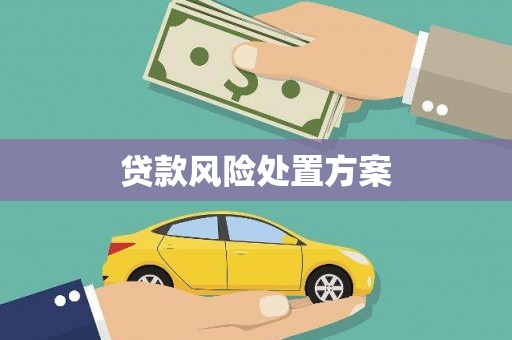 宝应贷款风险处置方案