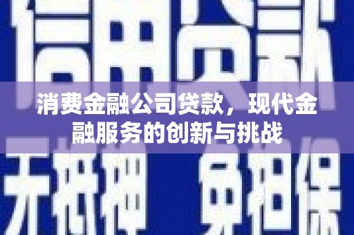 宝应消费金融公司贷款，现代金融服务的创新与挑战