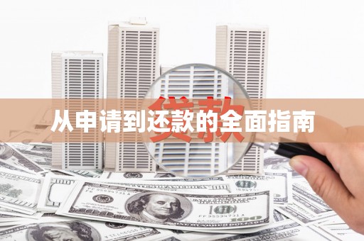 宝应从申请到还款的全面指南