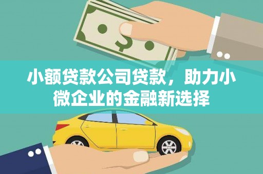 宝应小额贷款公司贷款，助力小微企业的金融新选择
