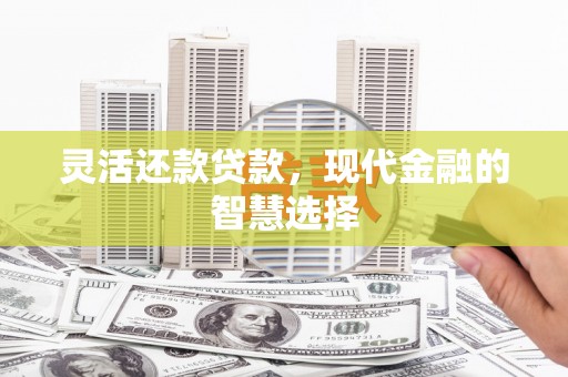 宝应灵活还款贷款，现代金融的智慧选择