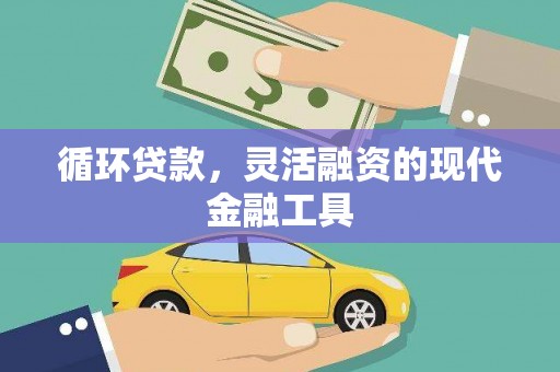 宝应循环贷款，灵活融资的现代金融工具