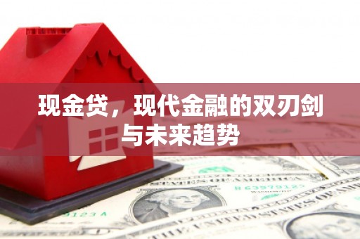 宝应现金贷，现代金融的双刃剑与未来趋势