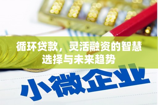宝应循环贷款，灵活融资的智慧选择与未来趋势