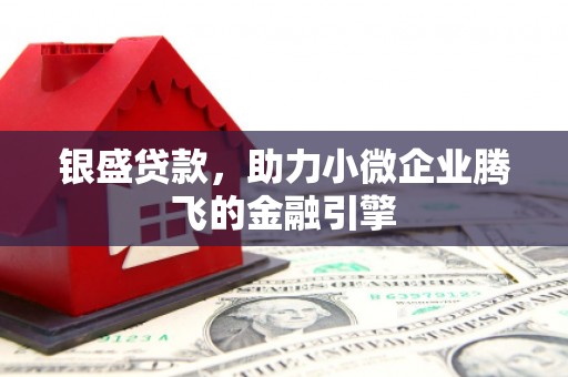 宝应银盛贷款，助力小微企业腾飞的金融引擎