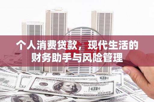 宝应个人消费贷款，现代生活的财务助手与风险管理