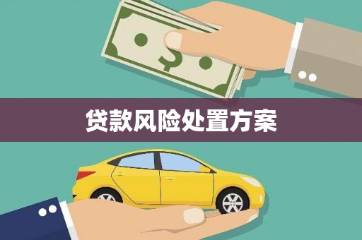 宝应贷款风险处置方案