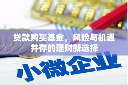 宝应贷款购买基金，风险与机遇并存的理财新选择