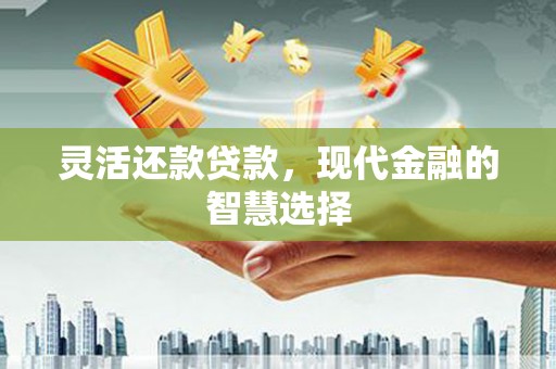 宝应灵活还款贷款，现代金融的智慧选择