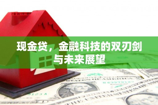宝应现金贷，金融科技的双刃剑与未来展望