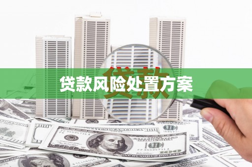 宝应贷款风险处置方案