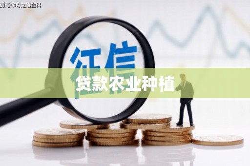 宝应贷款农业种植