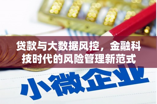 宝应贷款与大数据风控，金融科技时代的风险管理新范式