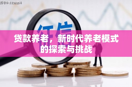 宝应贷款养老，新时代养老模式的探索与挑战