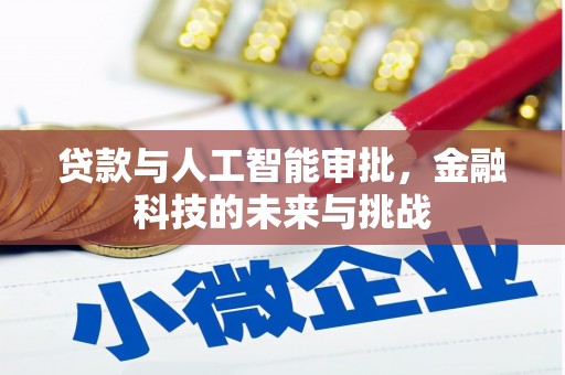 宝应贷款与人工智能审批，金融科技的未来与挑战