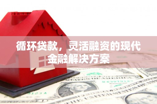 宝应循环贷款，灵活融资的现代金融解决方案