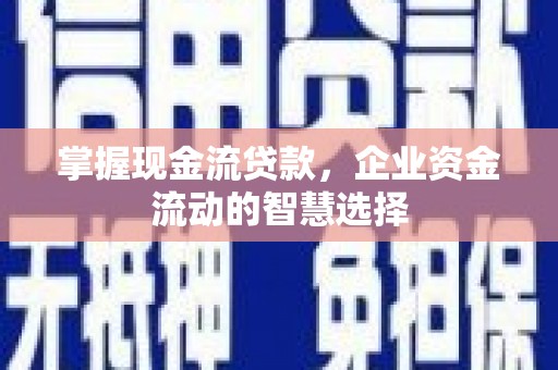 宝应掌握现金流贷款，企业资金流动的智慧选择