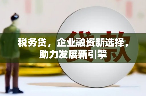 宝应税务贷，企业融资新选择，助力发展新引擎