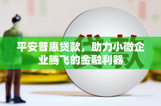 宝应平安普惠贷款，助力小微企业腾飞的金融利器