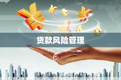 宝应贷款风险管理