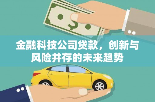 宝应金融科技公司贷款，创新与风险并存的未来趋势