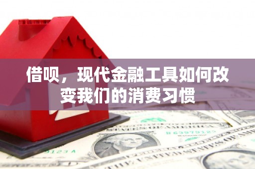 宝应借呗，现代金融工具如何改变我们的消费习惯