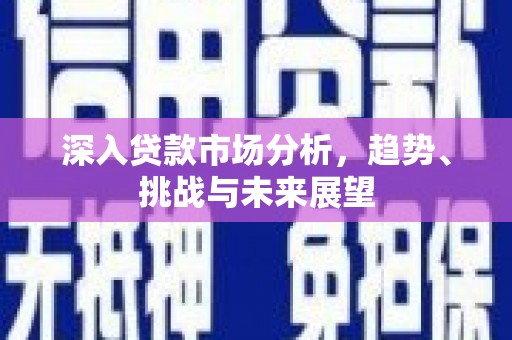 宝应深入贷款市场分析，趋势、挑战与未来展望