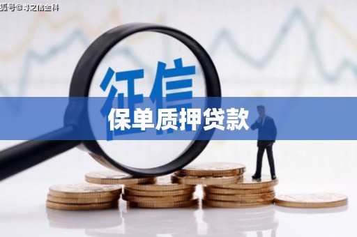 宝应保单质押贷款