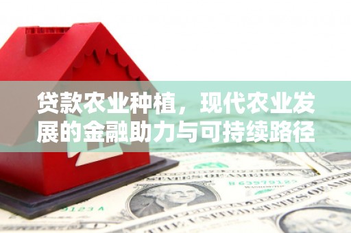 宝应贷款农业种植，现代农业发展的金融助力与可持续路径