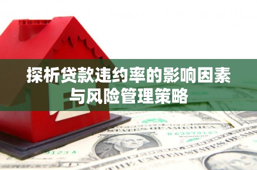 宝应探析贷款违约率的影响因素与风险管理策略