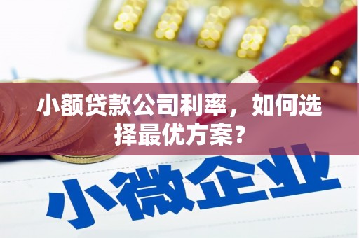 宝应小额贷款公司利率，如何选择最优方案？