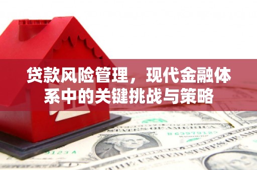 宝应贷款风险管理，现代金融体系中的关键挑战与策略