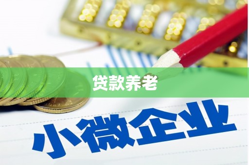 宝应贷款养老