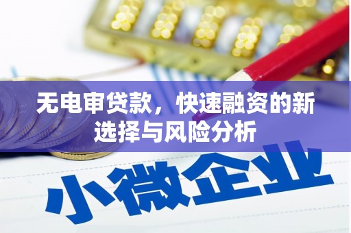 宝应无电审贷款，快速融资的新选择与风险分析