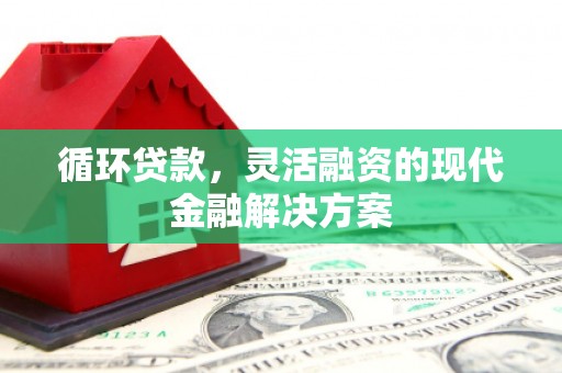 宝应循环贷款，灵活融资的现代金融解决方案