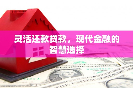 宝应灵活还款贷款，现代金融的智慧选择