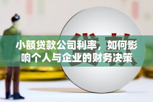 宝应小额贷款公司利率，如何影响个人与企业的财务决策