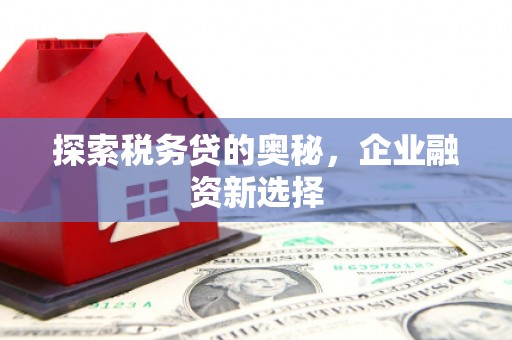 宝应探索税务贷的奥秘，企业融资新选择