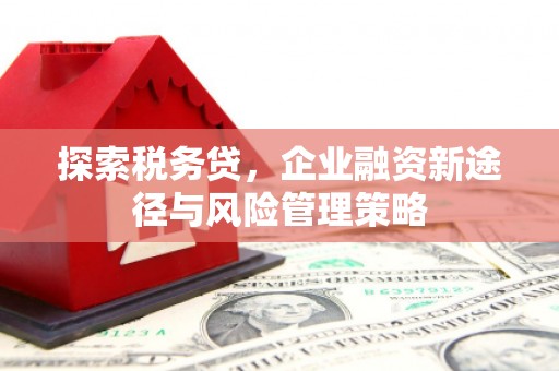 宝应探索税务贷，企业融资新途径与风险管理策略